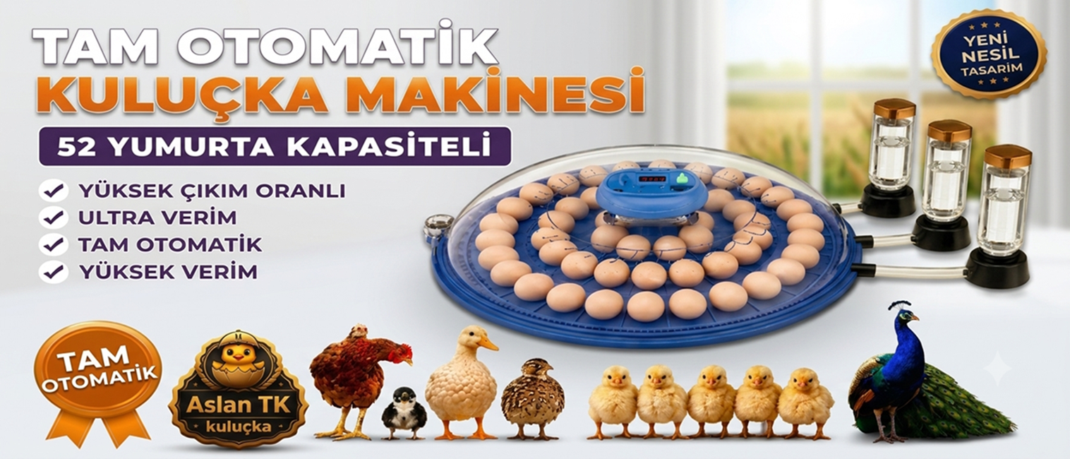Kulucka Makinesi Kanatlı Hayvanlar İçin